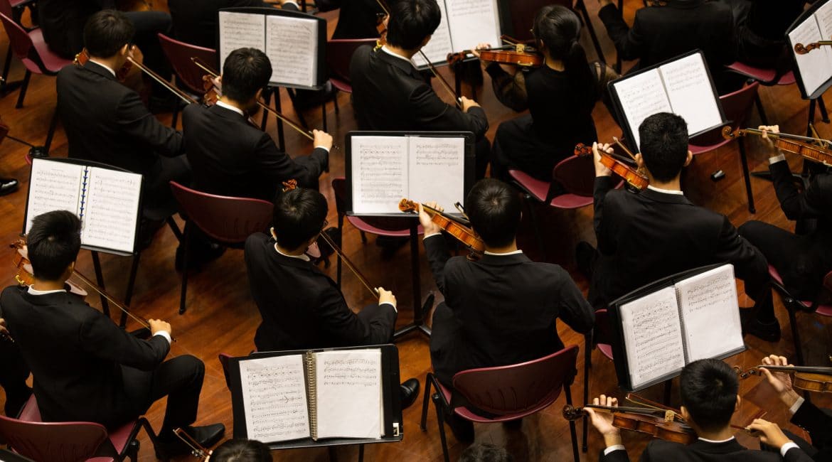 group of person playing violin