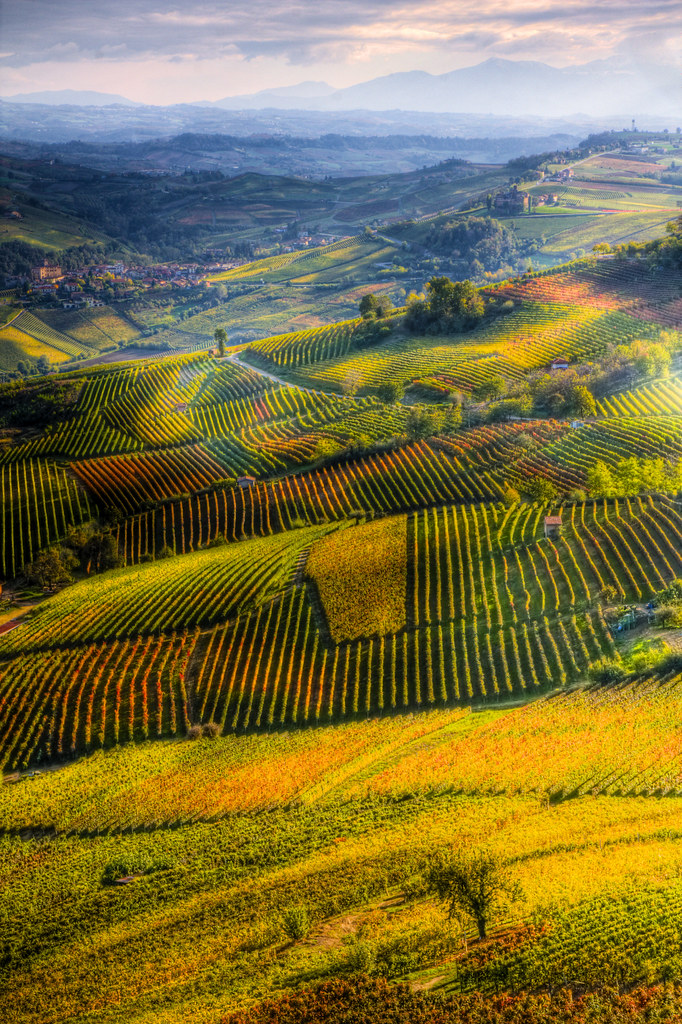 Savoring Langhe: Wine, Castles & Unforgettable Vistas tour experience