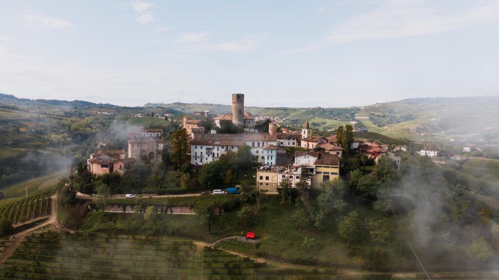 Savoring Langhe: Wine, Castles & Unforgettable Vistas tour experience