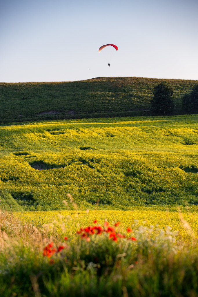 Tandem Paragliding in the Dolomites – Let the Wind Guide You tour experience