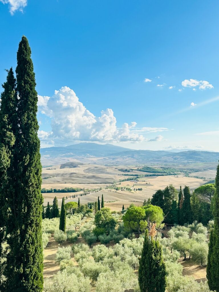 Private Driver for Shopping Trip to the Tuscan Outlets tour experience