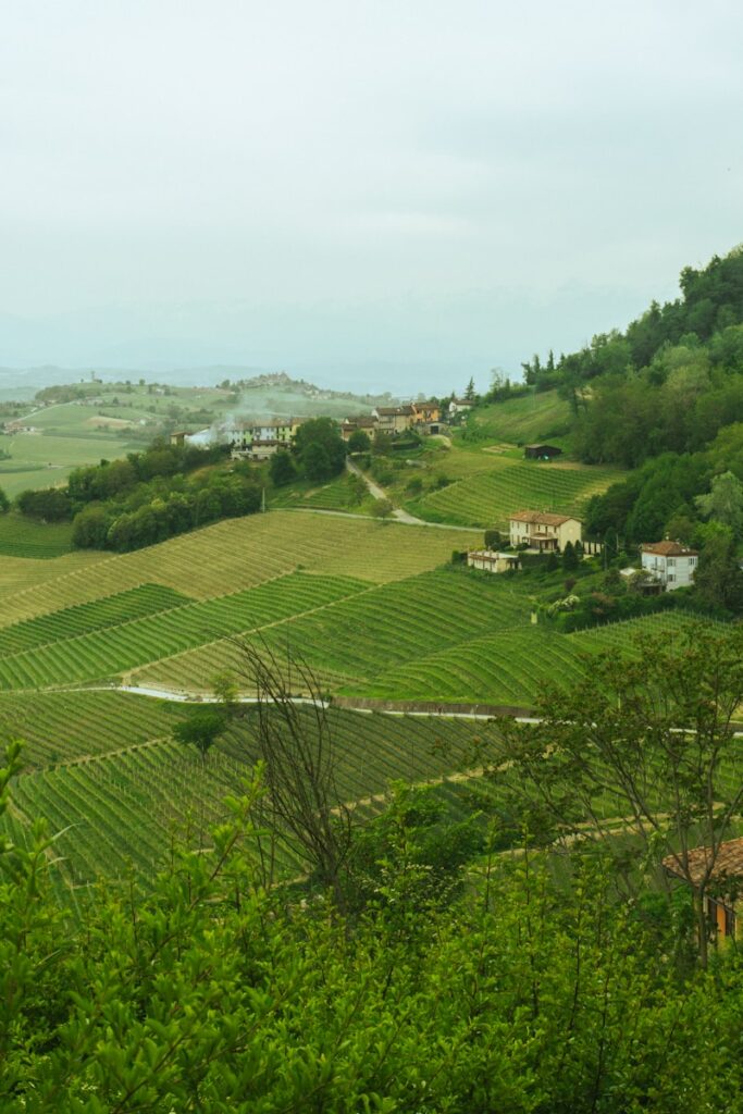 Photo by David Salamanca