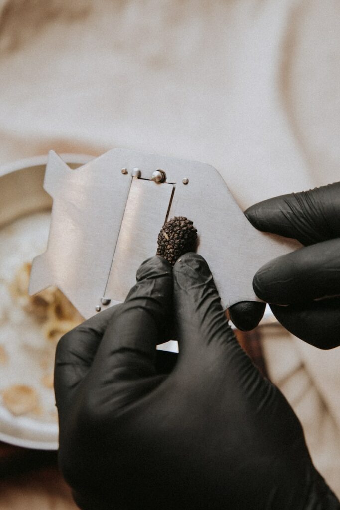 Truffle Hunting Tour tour experience