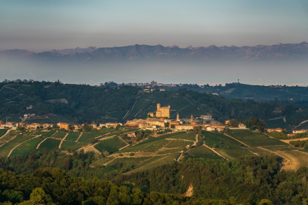 Savoring Langhe: Wine, Castles & Unforgettable Vistas tour experience