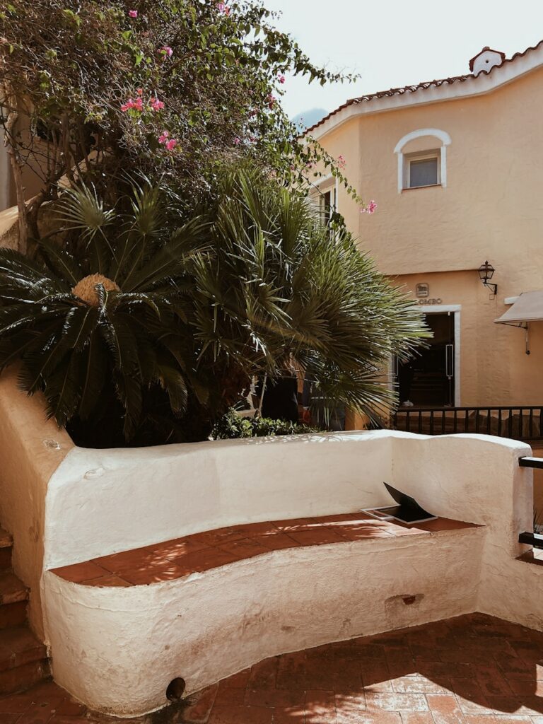 Photo by Sara Darcaj