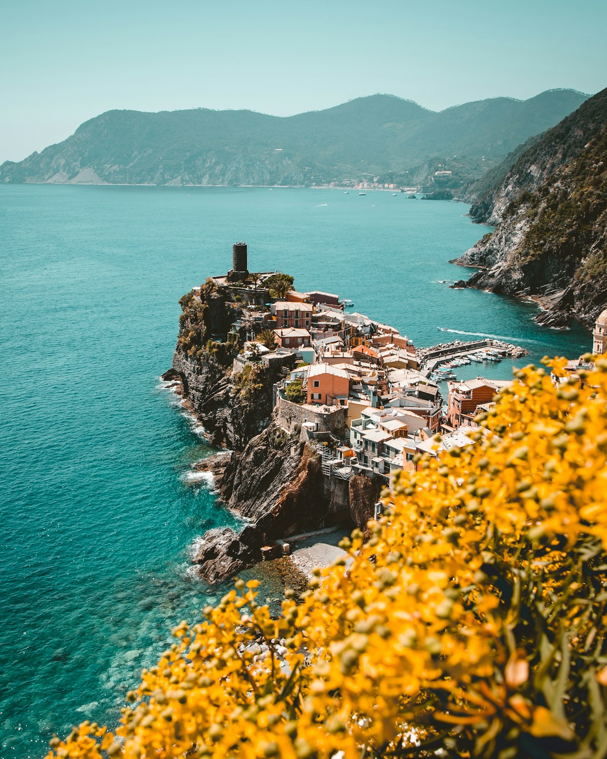 Manarola's iconic colorful harbor viewed from the coastal trail