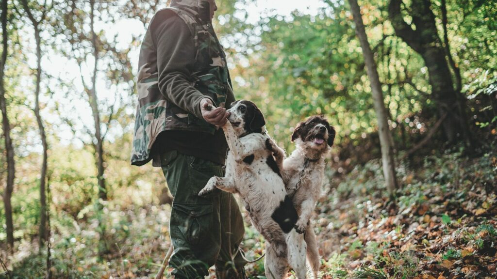man in black leather jacket holding white and black short coated dog