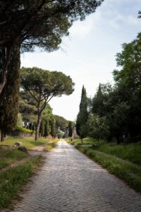 A cobblestone road in a park lined with trees