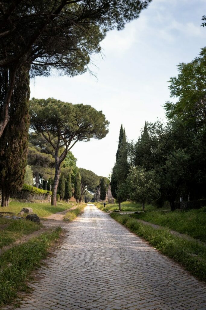 A cobblestone road in a park lined with trees