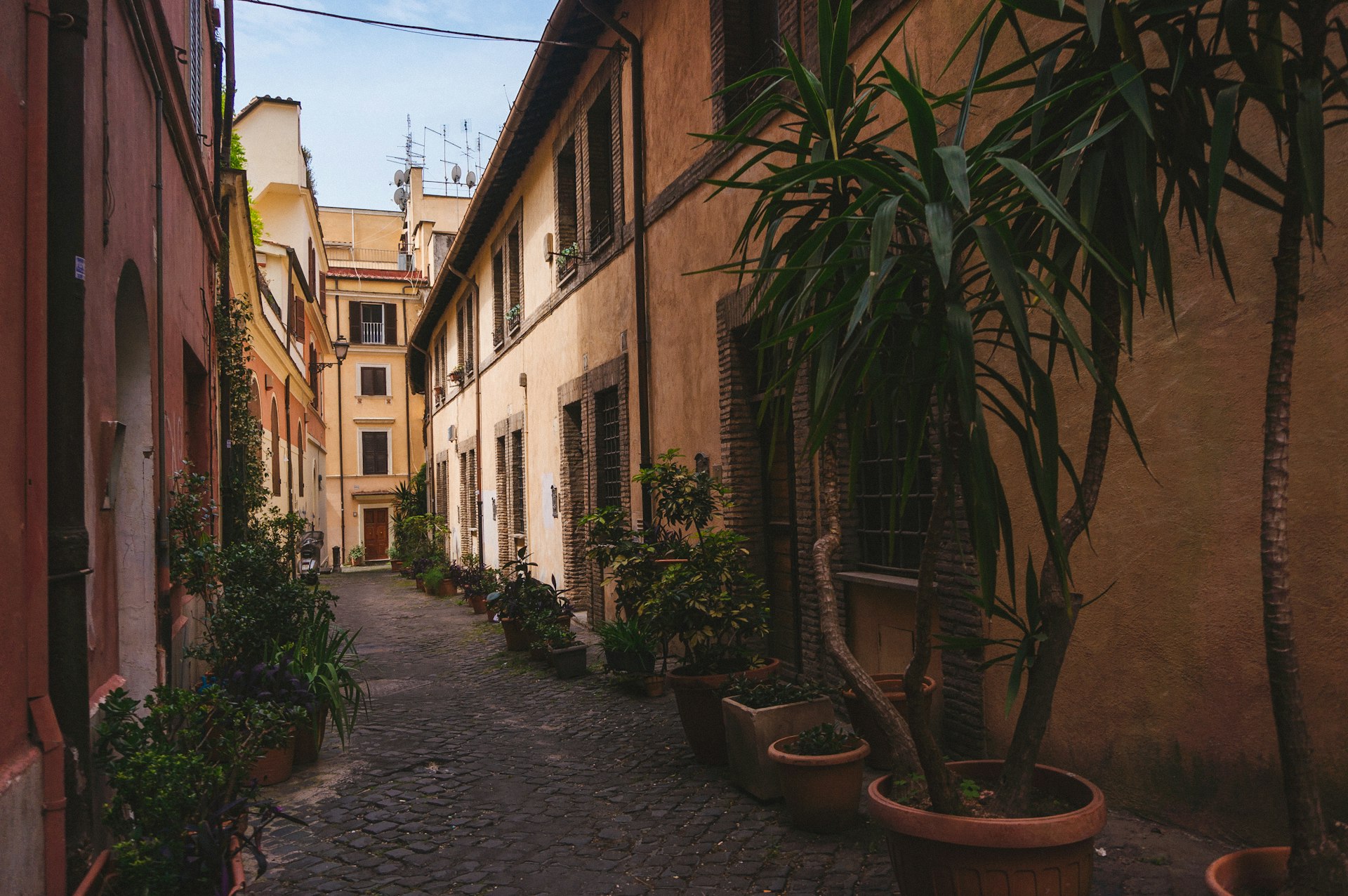 Quiet cobblestone alley in central Rome at sunrise, lined with potted plants